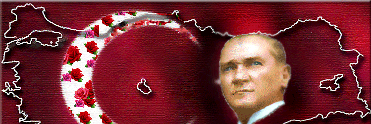 NalanNazlBirol's profile banner image