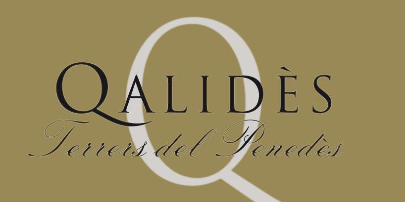 qalides's profile banner image