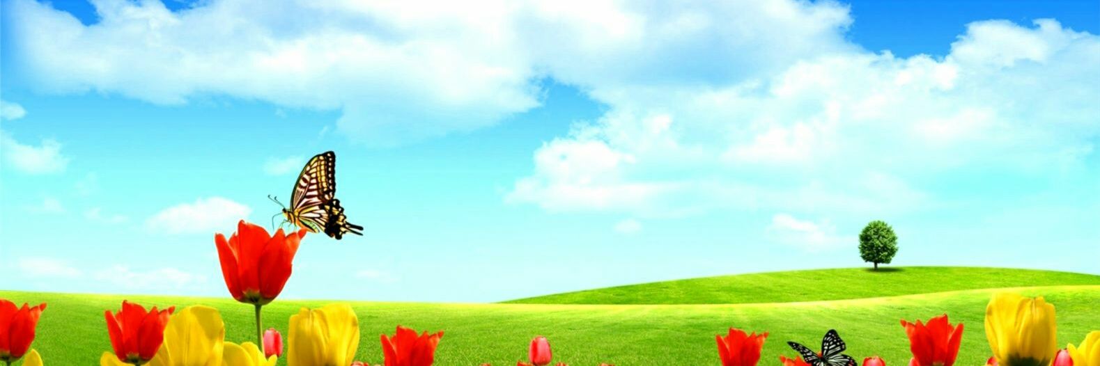 Fireflies33's profile banner image