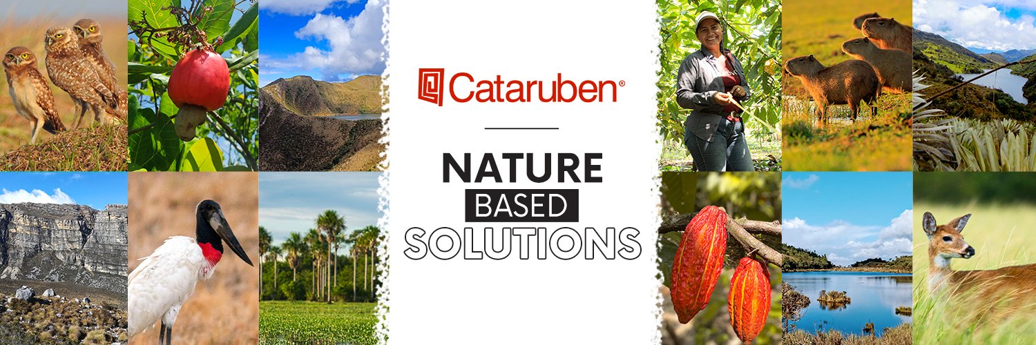 Cataruben banner