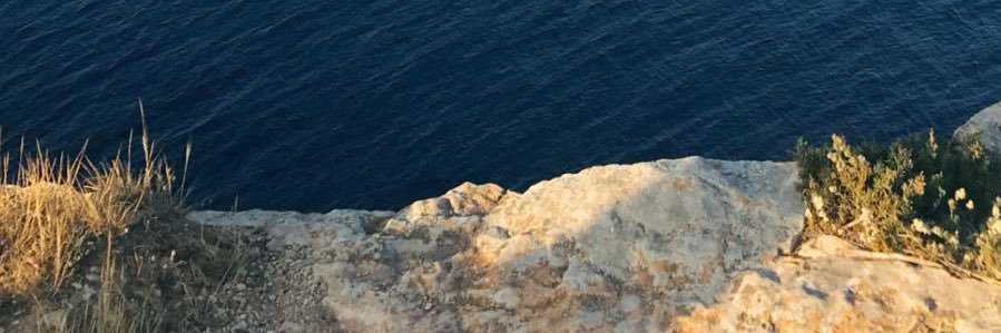 DCriado10's profile banner image
