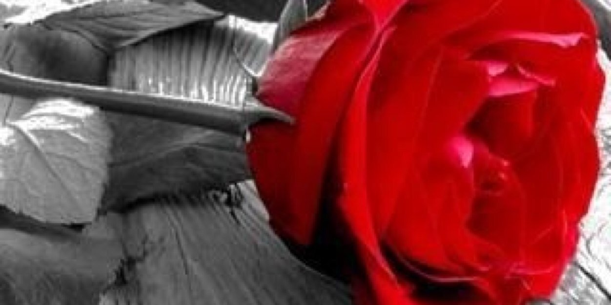 dr_mood69's profile banner image