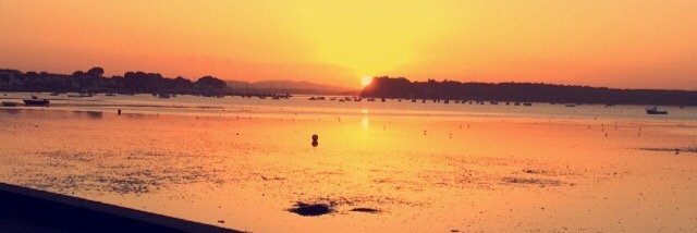 MishaHarvey's profile banner image
