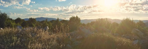 vanessastansall Profile Banner