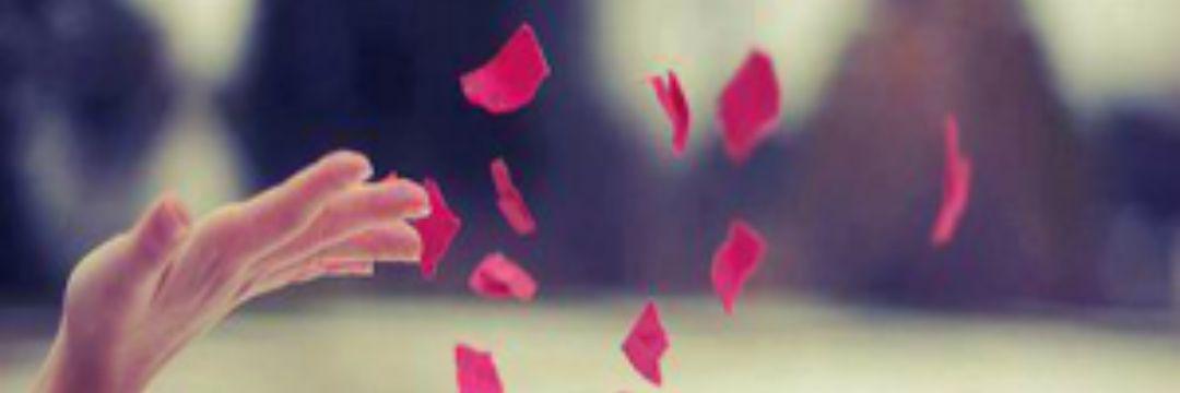 sheikha1050's profile banner image