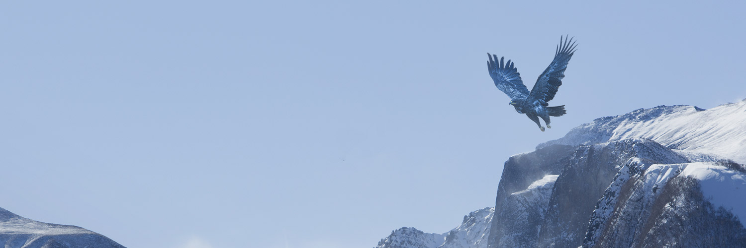 InHunt Group banner