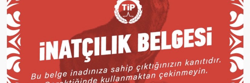 EtemSermin's profile banner image
