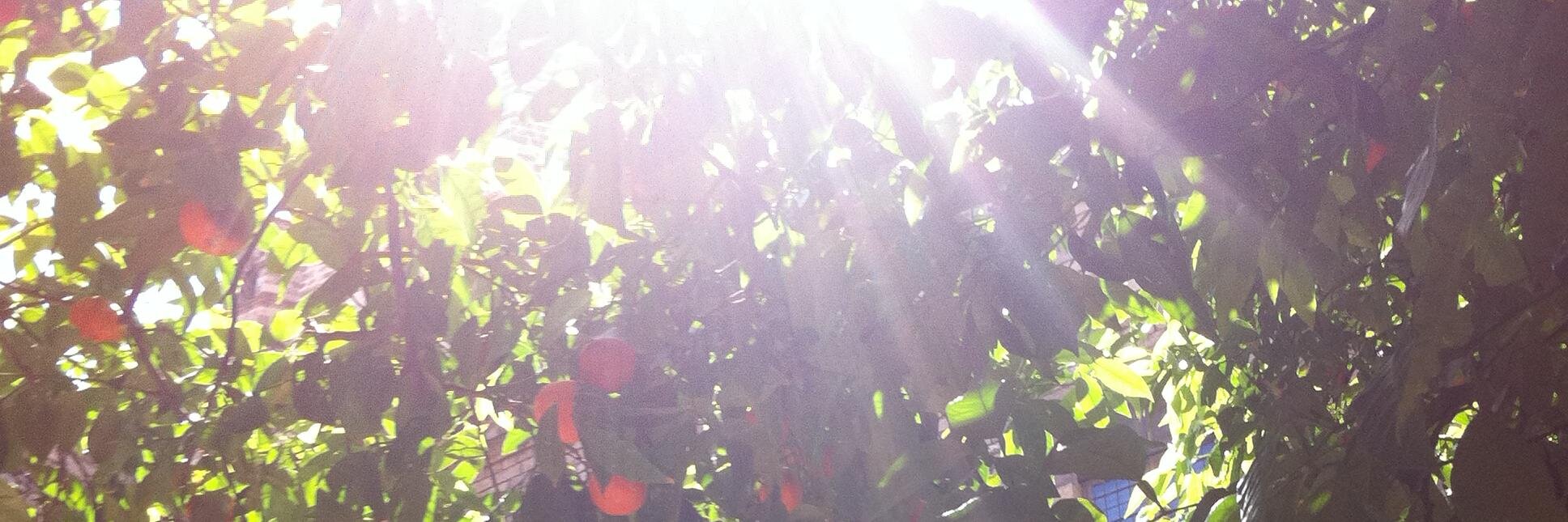 wutsreal's profile banner image