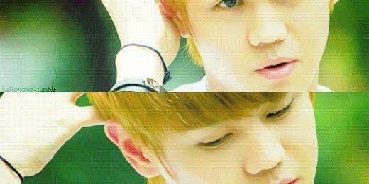 Isabelle Zazou banner