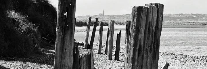 collhealy's profile banner image