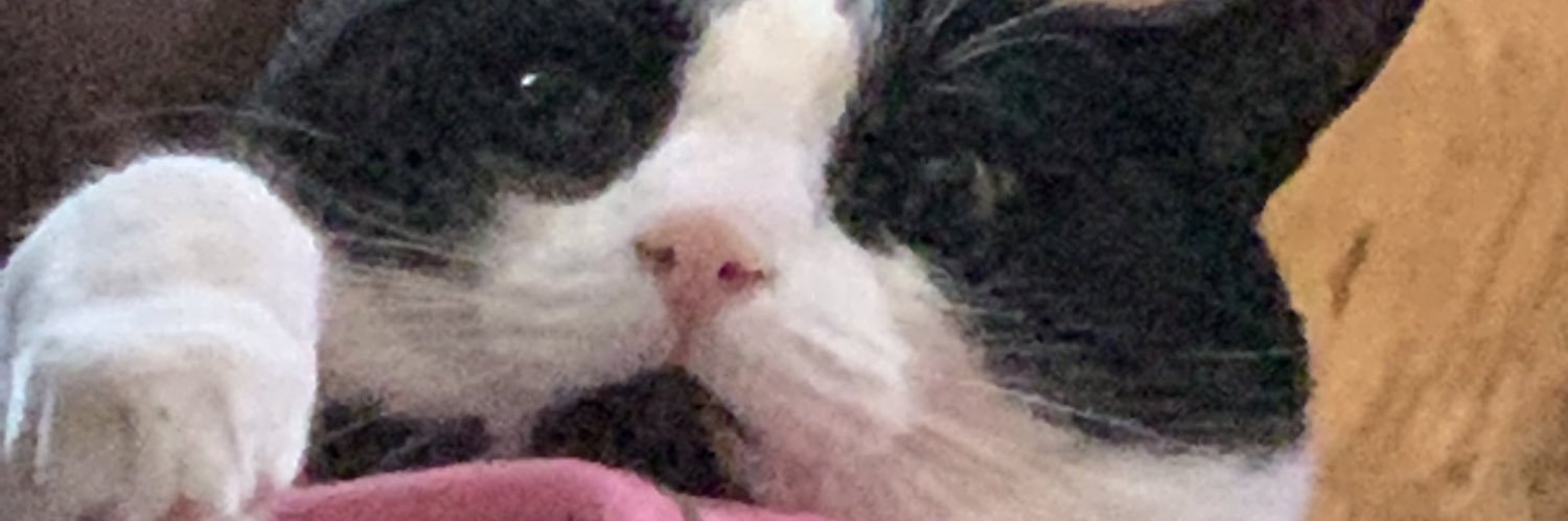 _parrxs's profile banner image