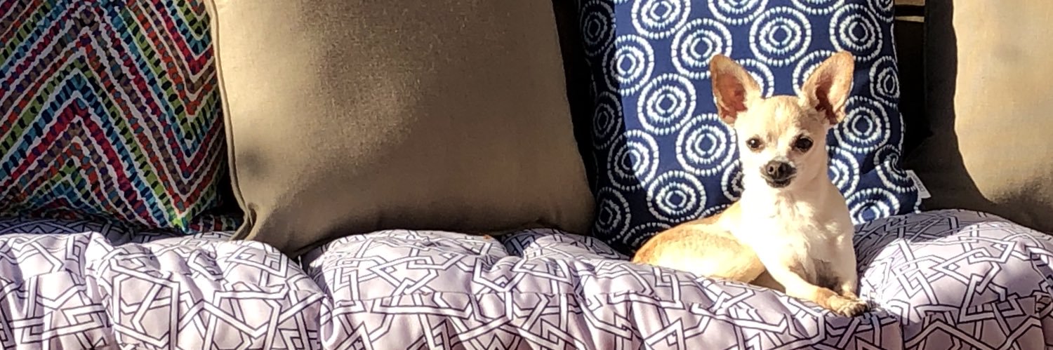 ashleyherrm's profile banner image