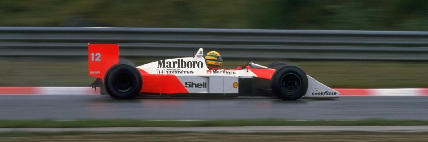 mongoose700971's profile banner image