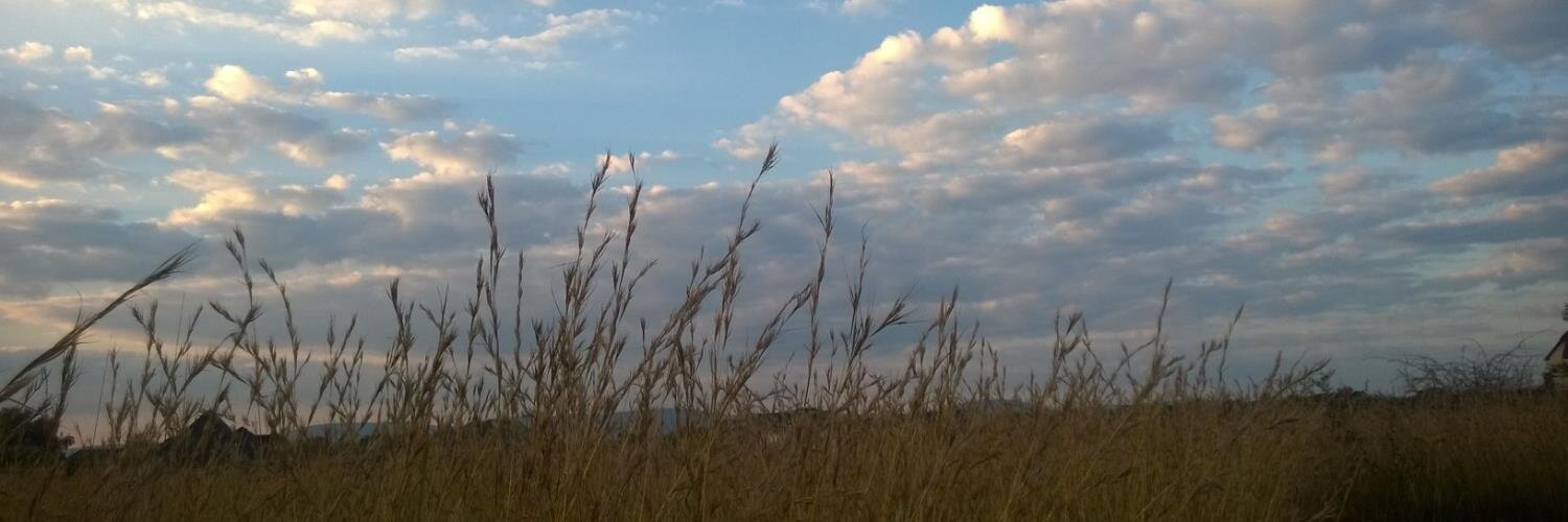 estakaalits's profile banner image