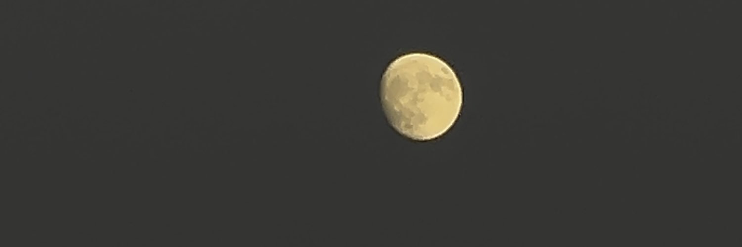 Alba_Yuju's profile banner image