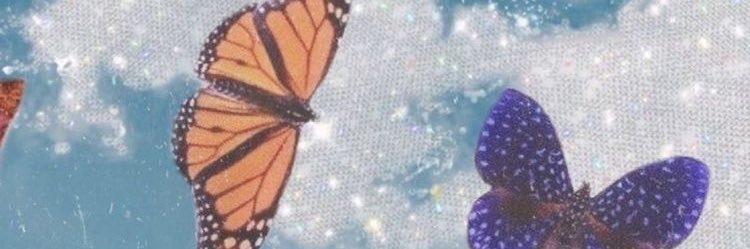 britt_taylor__'s profile banner image
