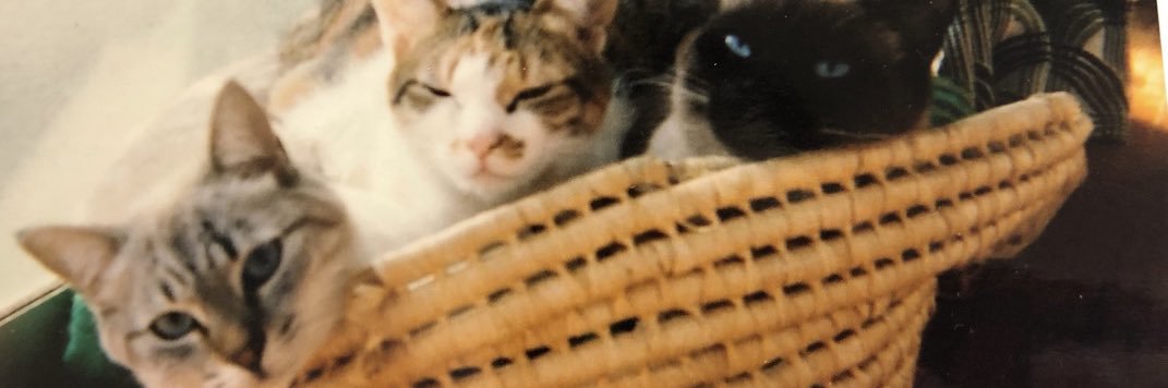 t_m1221's profile banner image