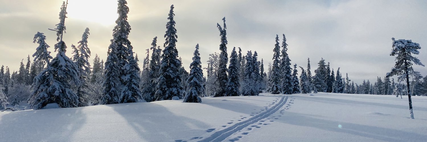 TSViljanmaa's profile banner image