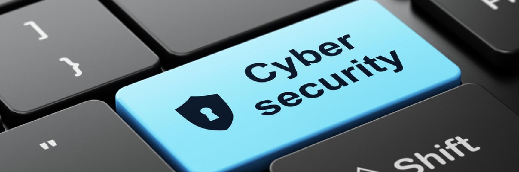 PaulDARose banner