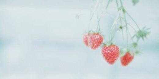Bee__08's profile banner image