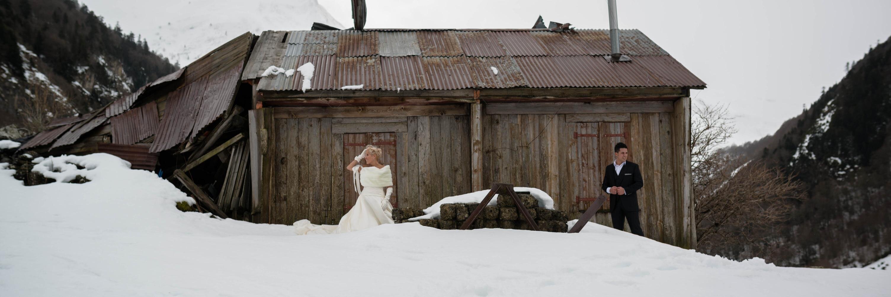 Caroldiloy's profile banner image