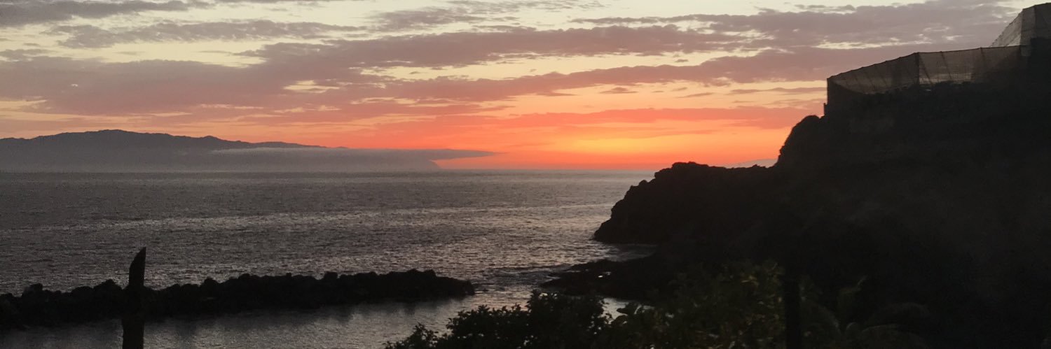 palomagn's profile banner image