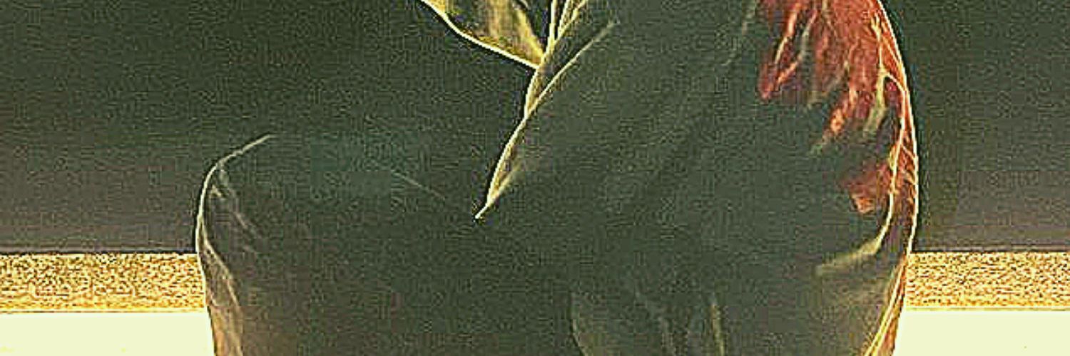 rmyo3521's profile banner image