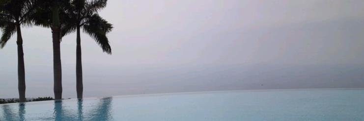 SalTreesnow's profile banner image