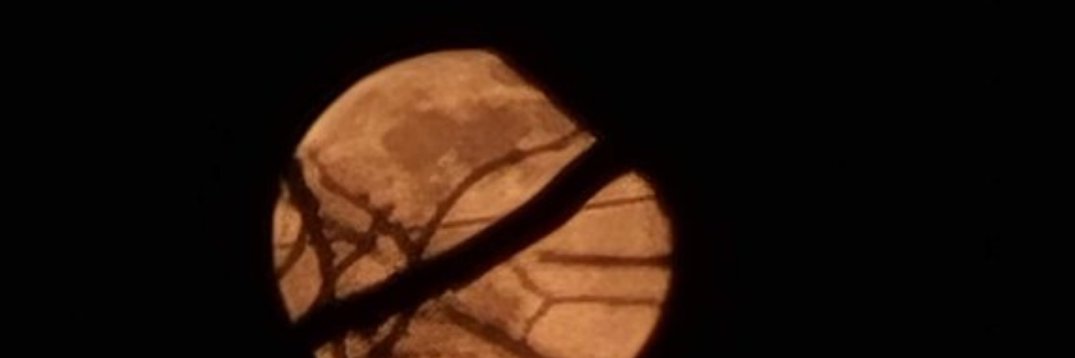 monster_fallacy's profile banner image