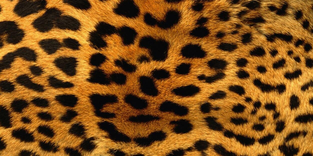 Seda_Unlu_'s profile banner image