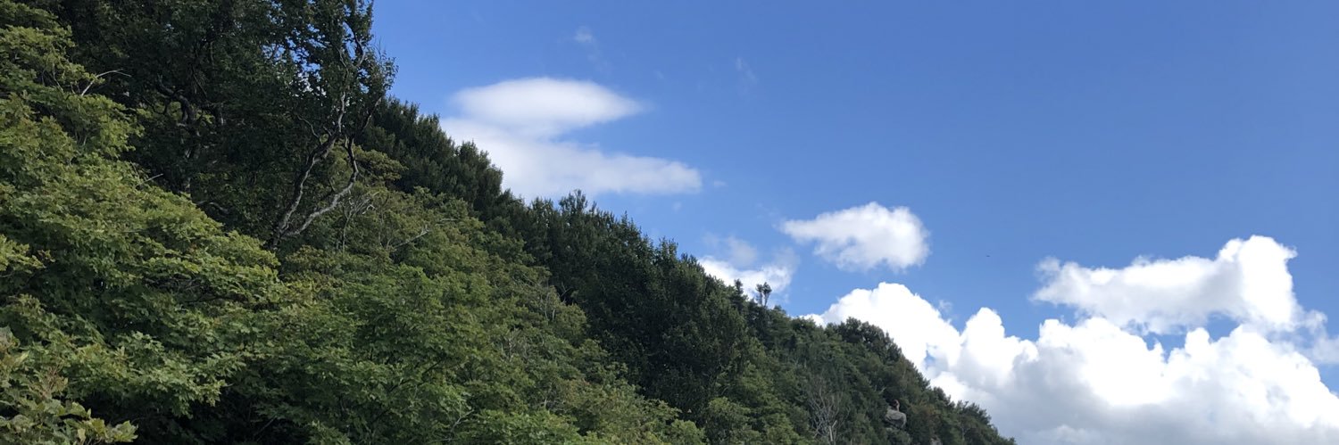 bromp0's profile banner image
