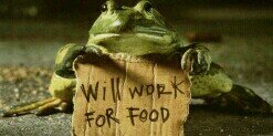 dank_com's profile banner image