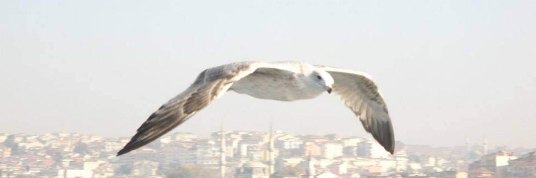 HeinerGeorg's profile banner image