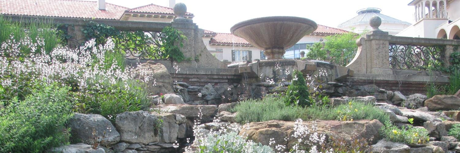 sdilese's profile banner image