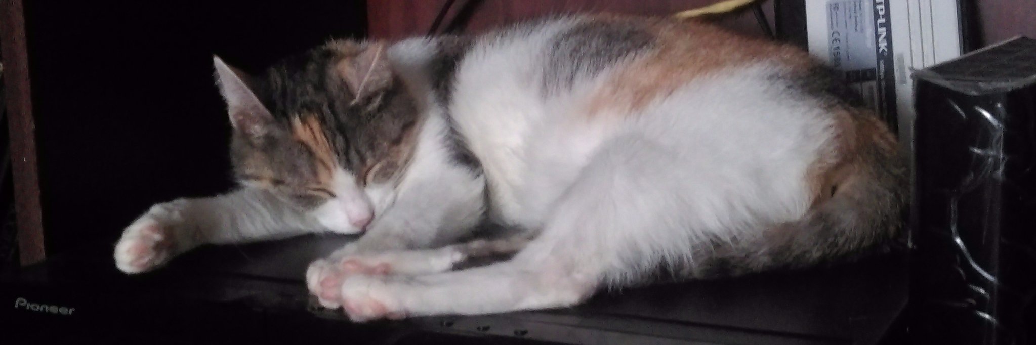 EEwucha's profile banner image