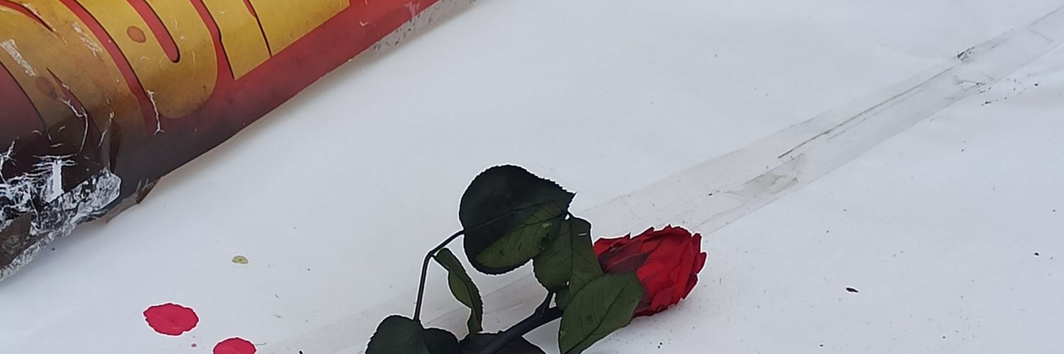 sarapasttor's profile banner image