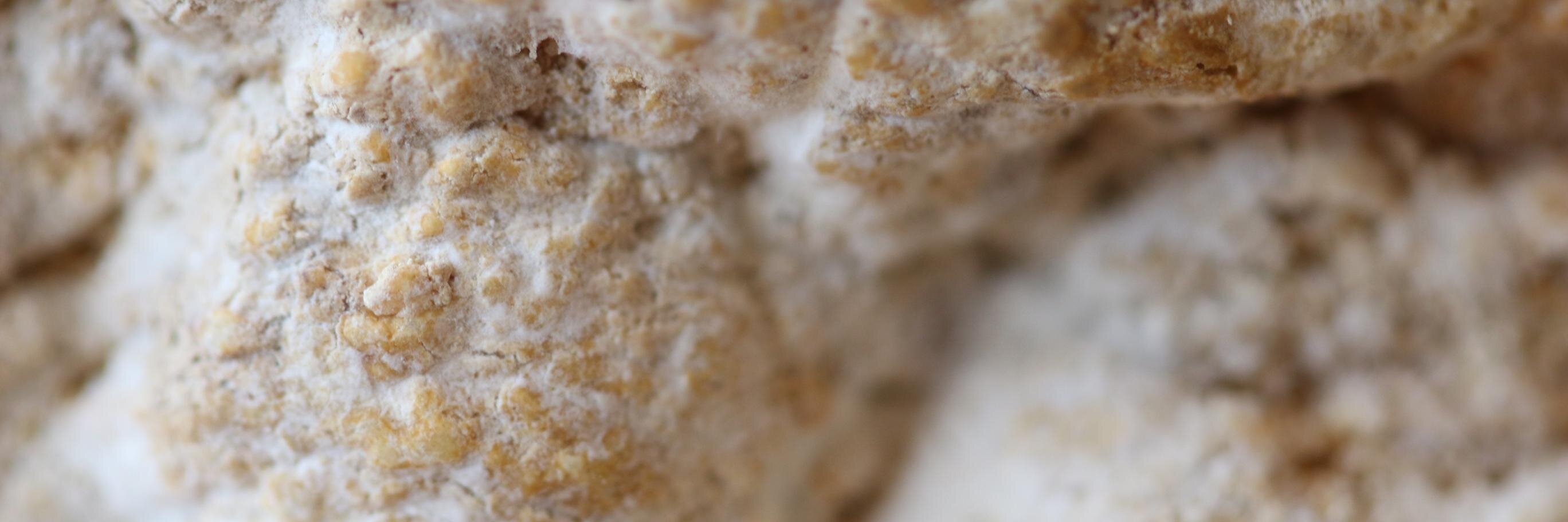 American Provisions banner