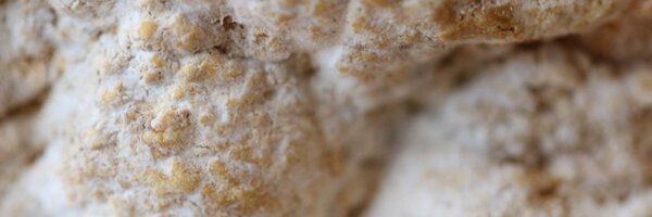 AProvisions Profile Banner