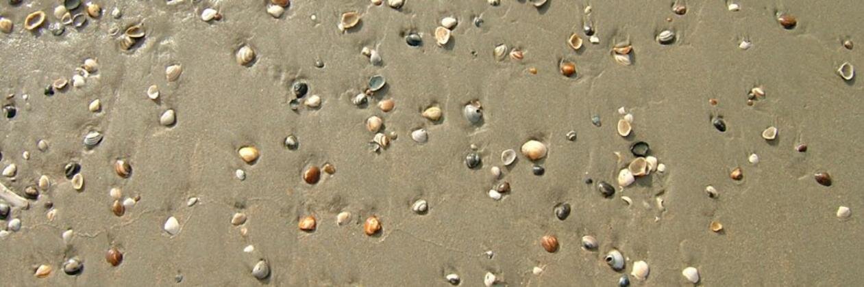 clausoverbeck's profile banner image