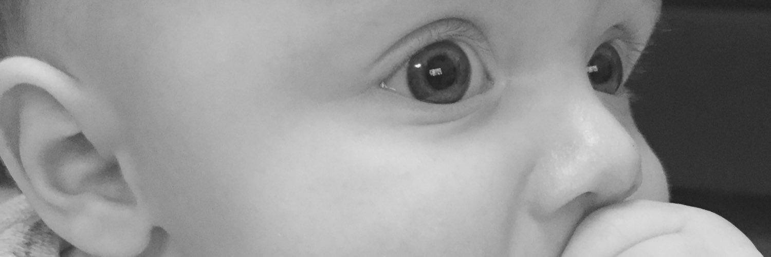 traceysmythduck's profile banner image