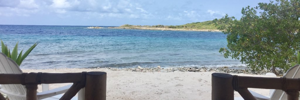 Pattisousa's profile banner image