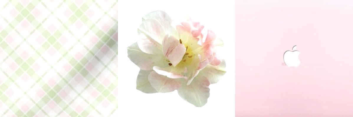 mpostly's profile banner image