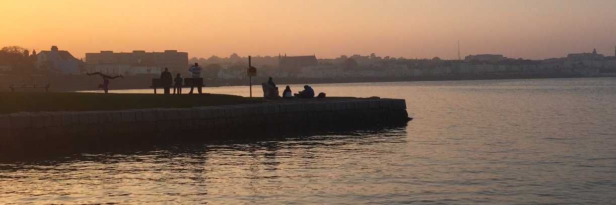 Rioghnach Ní Mhaonaigh banner