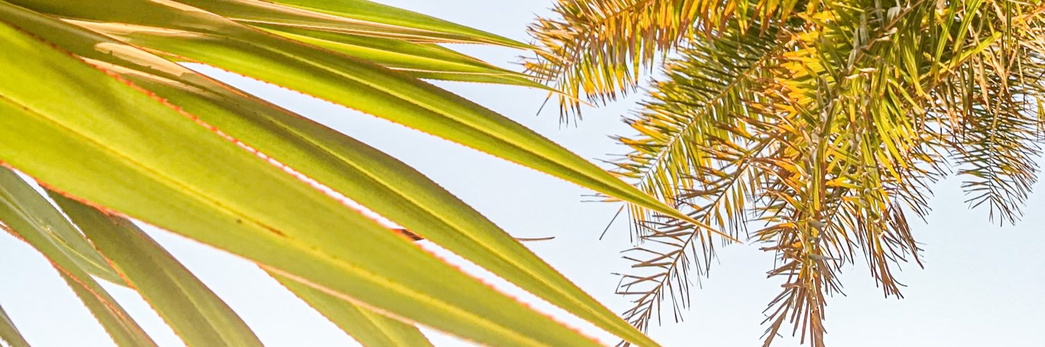 anna_wicker's profile banner image
