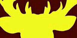 BuckSocial's profile banner image
