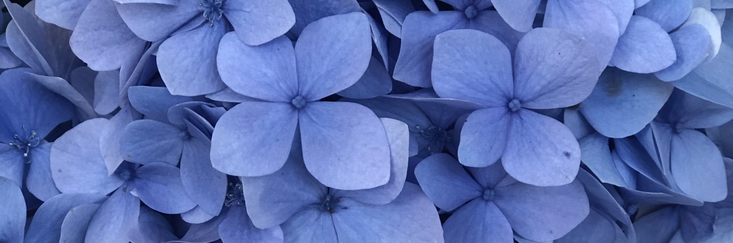 alyssafay_'s profile banner image