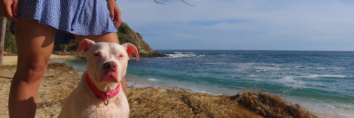 Freshytaa's profile banner image