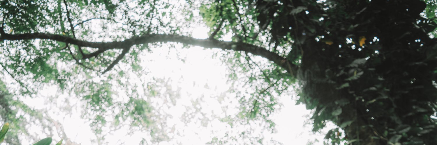 marktherichards's profile banner image