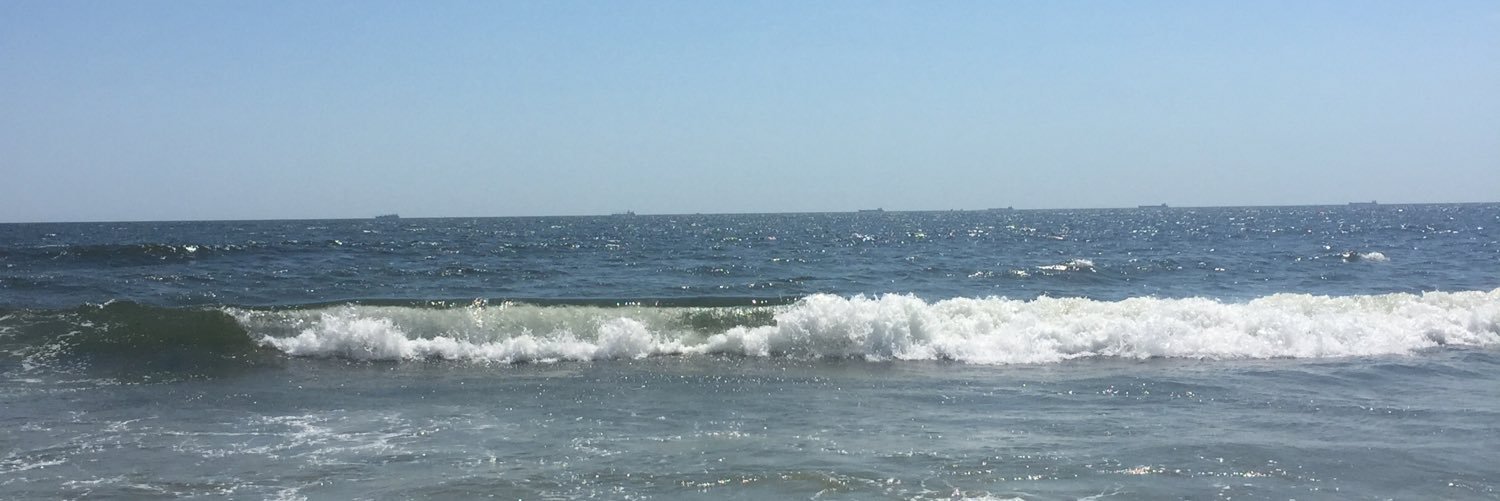 Erin Quill (she/her) banner