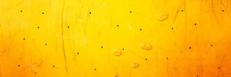 CraneKalmanBrighton banner